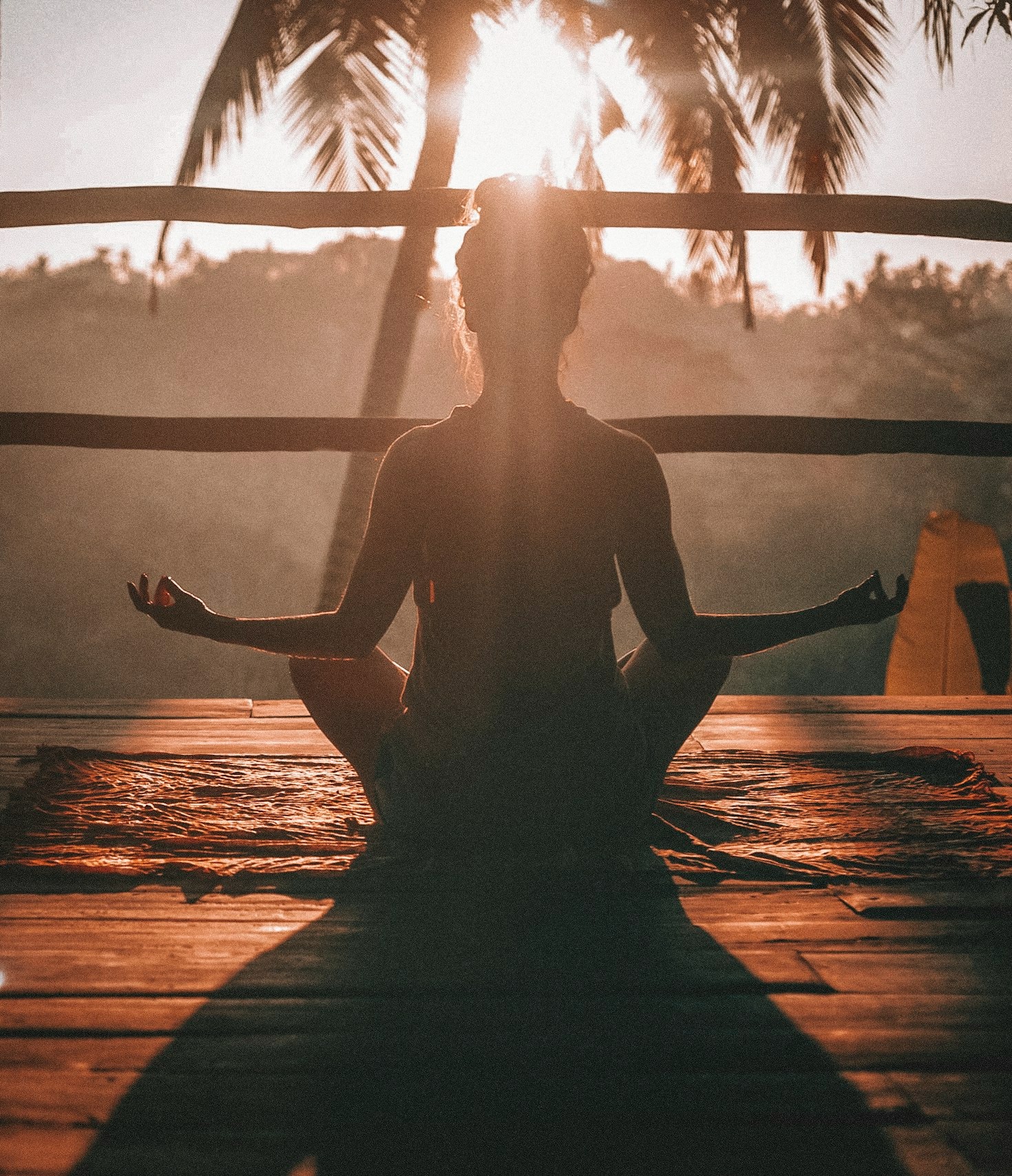 The Role of Nutrition in Holistic Health